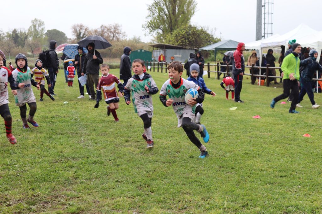 Rugby Jesi ’70, la festa del Torneo “Federico II” di minirugby fa centro