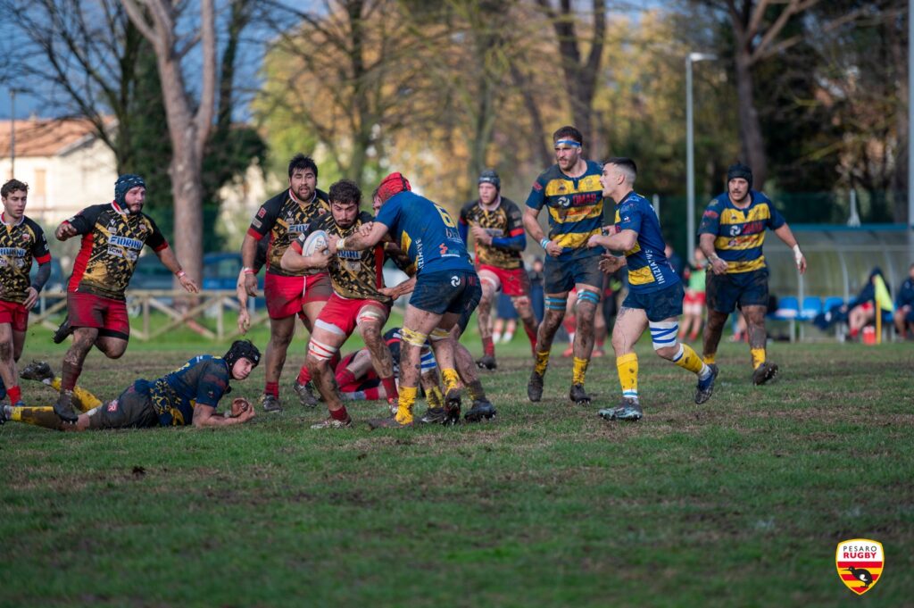 Fiorini Pesaro Rugby verso l’ultima partita del 2024