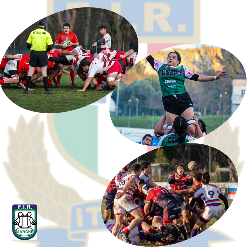 Inizio stagione positivo per le formazioni marchigiane di Serie A